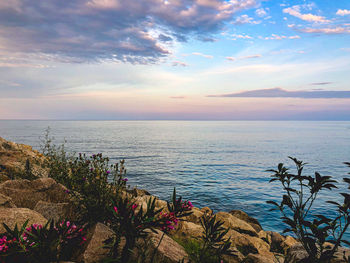 Scenic view of sea against sky during sunset