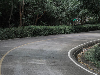 Road by trees in city