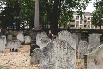 Rear view of man standing at cemetery