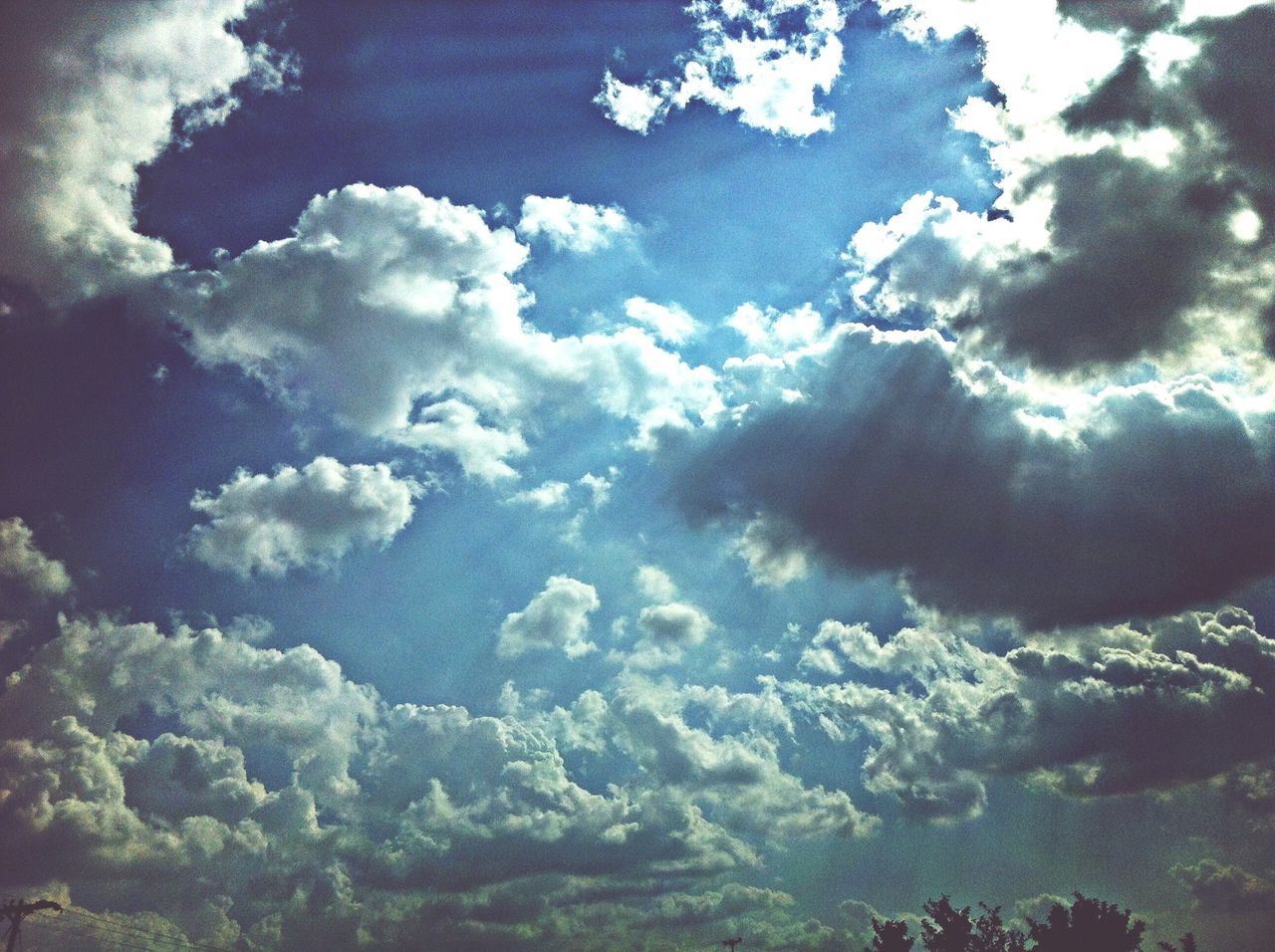 sky, low angle view, beauty in nature, nature, cloud - sky, tranquility, scenics, cloudy, tranquil scene, full frame, backgrounds, idyllic, outdoors, day, no people, weather, tree, cloud, growth, white color