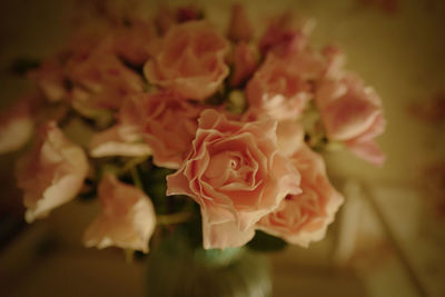 Close-up of rose bouquet