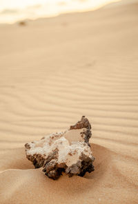 Close-up of sand on desert against sky