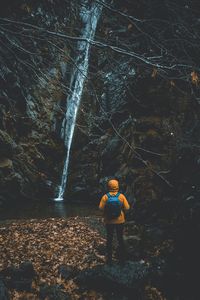 Rear view of man walking in forest