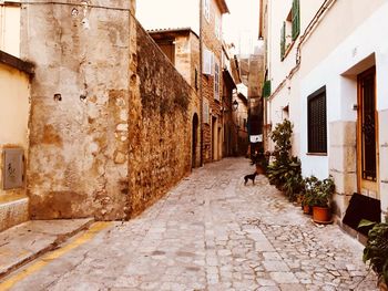 Narrow alley amidst buildings in town