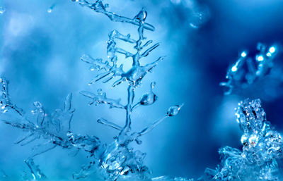 Close-up of frozen tree against sky