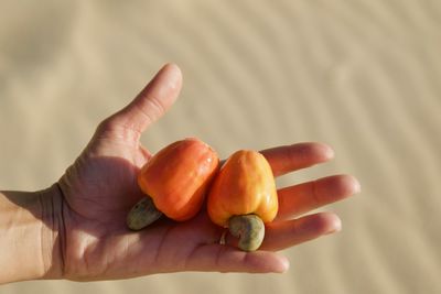 Close-up of hand holding orange