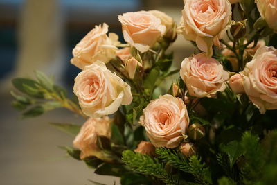 Close-up of rose bouquet