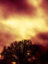 Low angle view of silhouette tree against sunset sky