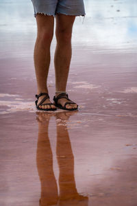 Low section of man standing on beach