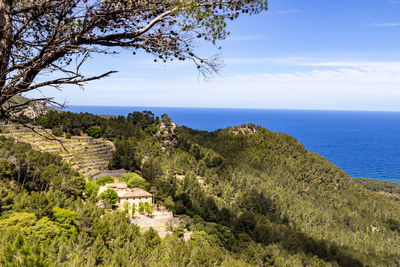 Scenic view at the coastline in the north of mallorca between valldemossa and bayalbufar