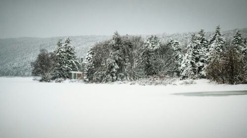 Trees on snow covered landscape against clear sky