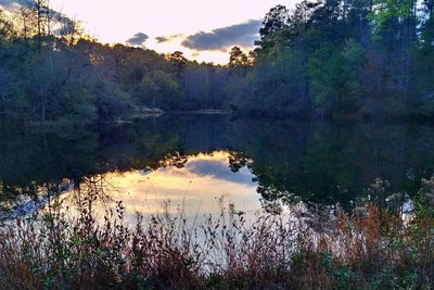 Scenic view of lake in forest against sky