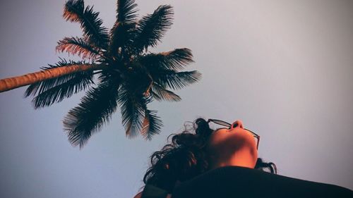 Palm tree against clear sky