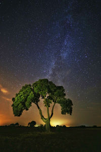 Scenic view of field against sky at night