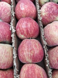 High angle view of fruits for sale at market stall