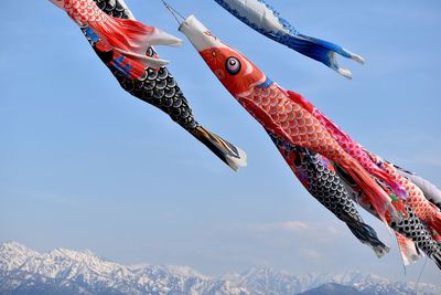 Low angle view of fish hanging against sky