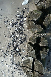 High angle view of pebbles on shore