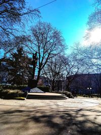 Bare trees in park against blue sky