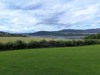 Scenic view of field against sky