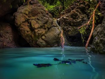 Rock swimming in sea