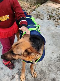 High angle view of man with dog