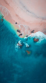 High angle view of fishes swimming in sea
