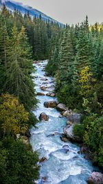 River flowing through rocks