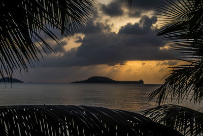 Silhouette palm trees by sea against sky during sunset