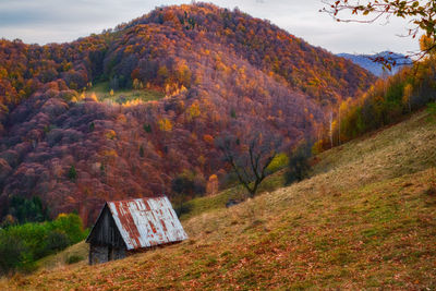 An old hut in autumn mountain landscape near rasinari village, cindrel mountains, sibiu  romania
