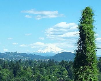 View of trees on landscape against cloudy sky