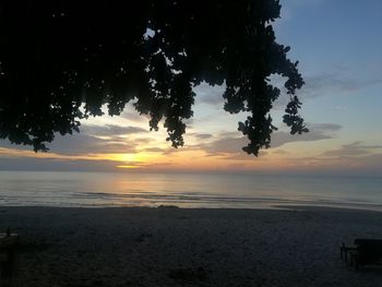 Silhouette trees on beach against sky at sunset