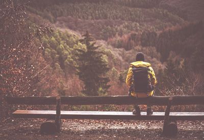 Rear view of man standing on bench against trees