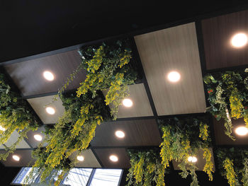 Low angle view of illuminated lights hanging from ceiling