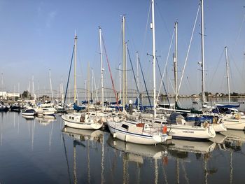 Sailboats moored in harbor