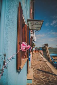 Pink flowers hanging on wall by building against sky