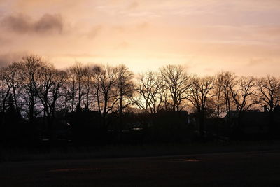 Silhouette bare trees on field against sky at sunset