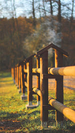 View of wooden fence on field in forest