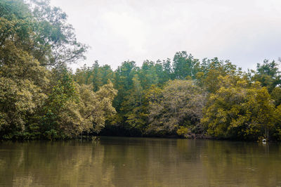 Scenic view of lake by trees against sky