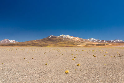 Surface level of desert against clear blue sky