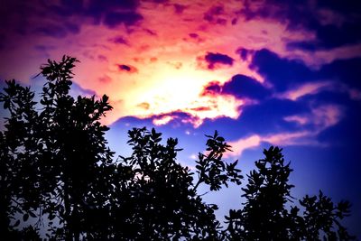 Low angle view of silhouette trees against sky