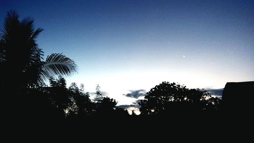 Low angle view of silhouette trees against clear sky