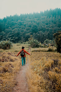 Rear view of man cycling on land