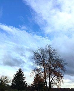 Low angle view of bare tree against cloudy sky