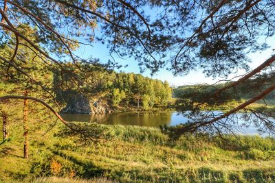 Scenic view of lake by trees against sky