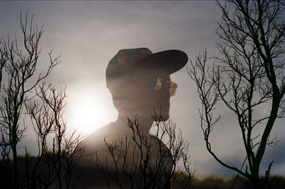 Low angle view of silhouette bare tree against sky