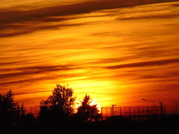 Silhouette trees against dramatic sky during sunset