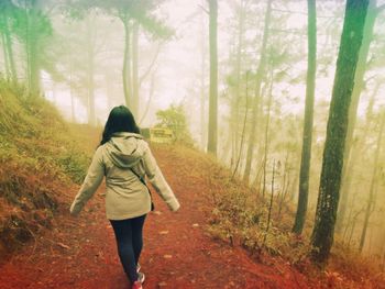 Rear view of woman walking in forest