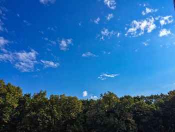 Low angle view of trees against cloudy sky