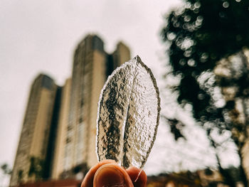 Close-up of hand holding umbrella against sky