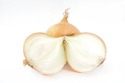 Close-up of bread on white background